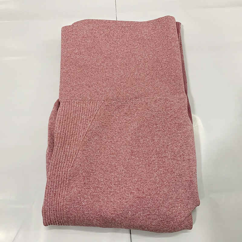 Gym Seamless Sports Pants - Frederika’s favorites 🦊