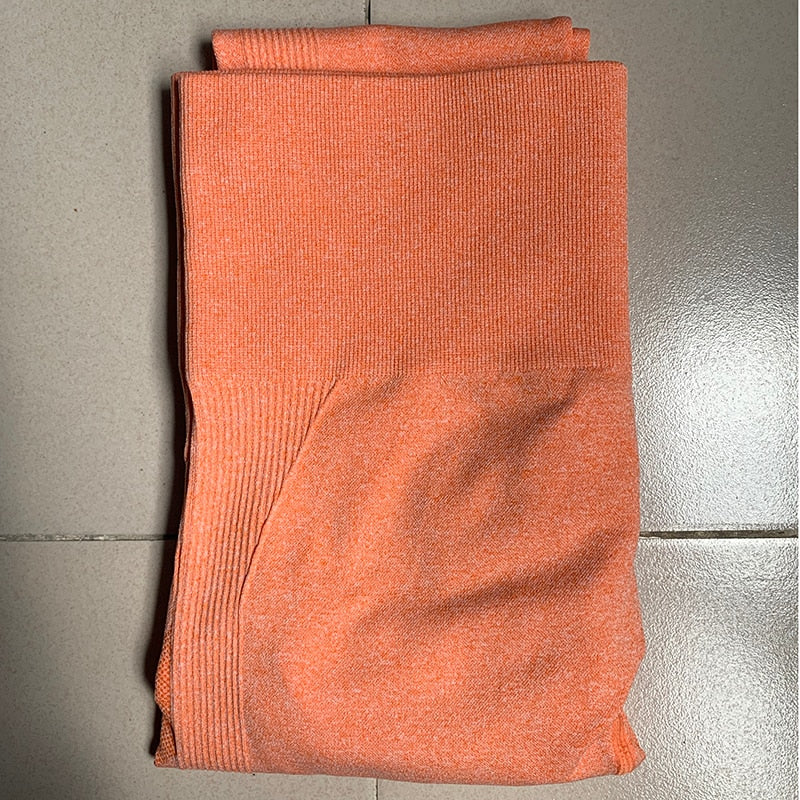 Gym Seamless Sports Pants - Frederika’s favorites 🦊