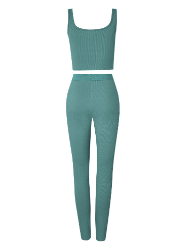 2 Piece Set Gym Active Wear - Frederika’s favorites 🦊