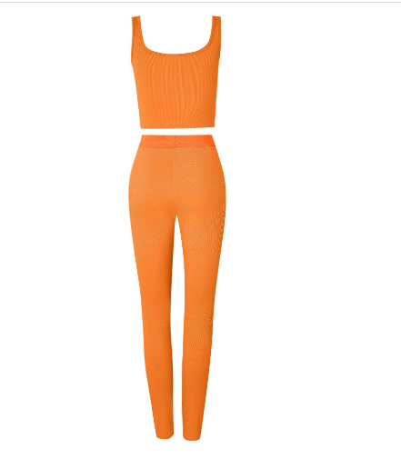 2 Piece Set Gym Active Wear - Frederika’s favorites 🦊