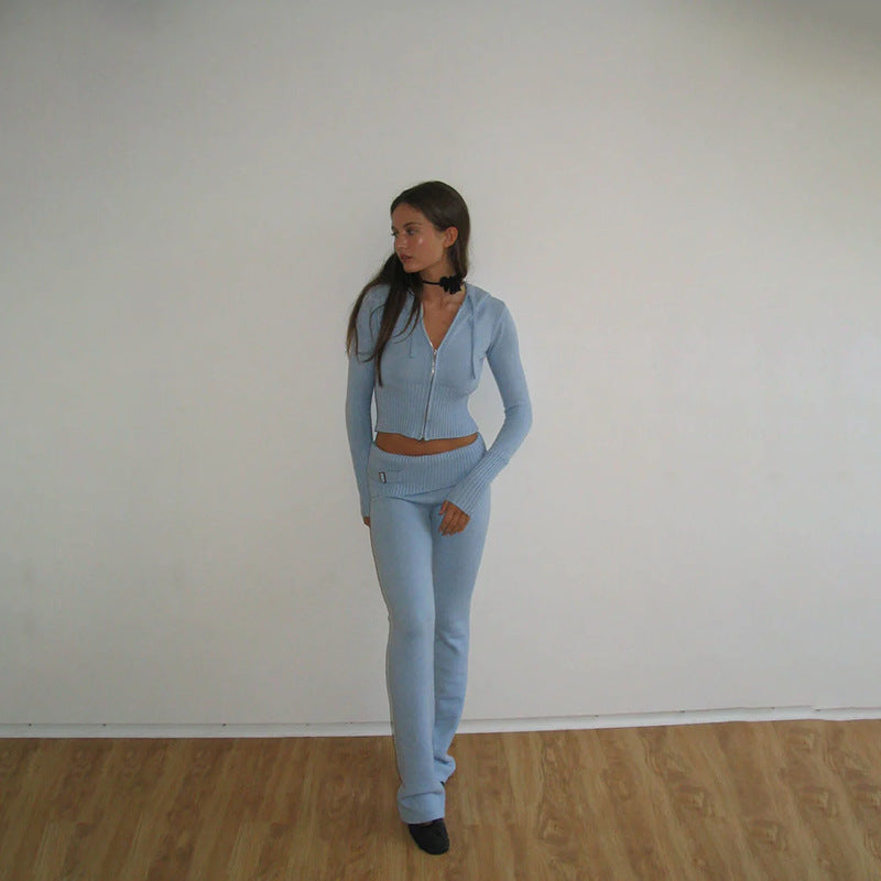 Hoodie Suit Women Leisure Sexy Zip Long Sleeve Sweater And High Waist Long Pants Set - Frederika’s favorites 🦊