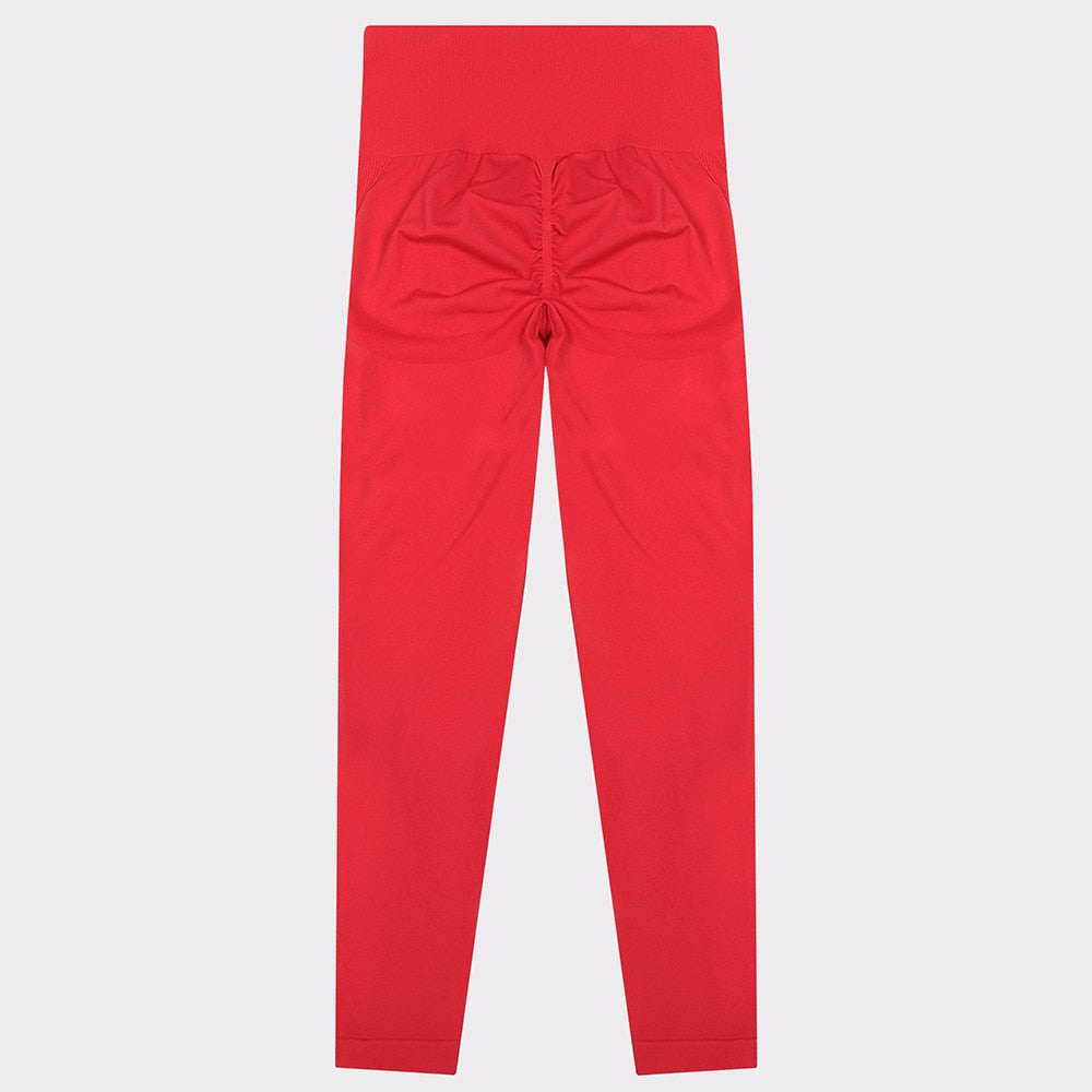 Gym Seamless Sports Pants - Frederika’s favorites 🦊